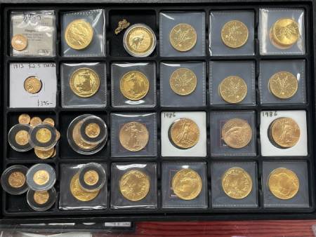 Behr Gold Coins in case