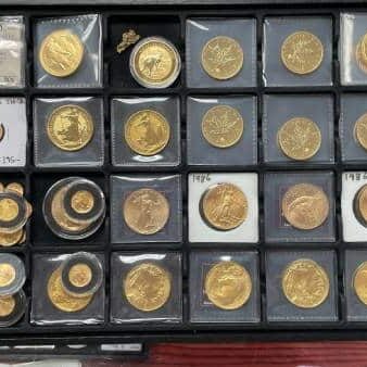 Behr Gold Coins in case