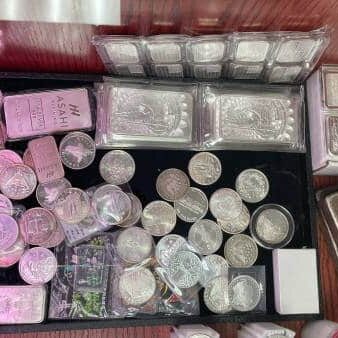 Behr Gold Silver Case